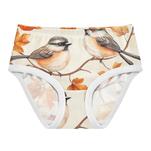 Fall Pumpkin Bird Autumn Panties for Girl Toddler Underwear Floral Cotton Aesthetic Briefs Undies Kids 2t