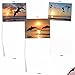 The Best Card Company - 10 Blank Animal Cards Boxed (4 x 5.12 Inch) - Assorted Pets, Zoo, Wildlife Cards for Men and Women - Sunset Dolphins M6460OCB-NB