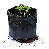 Go Garden 8 x 12 Inch Plastic Poly Grow Bags for Home Gardens - Perfect for Plantation and Used in Every Plant Nursery - Ideal for Home Plants (Black - 50 Qty)