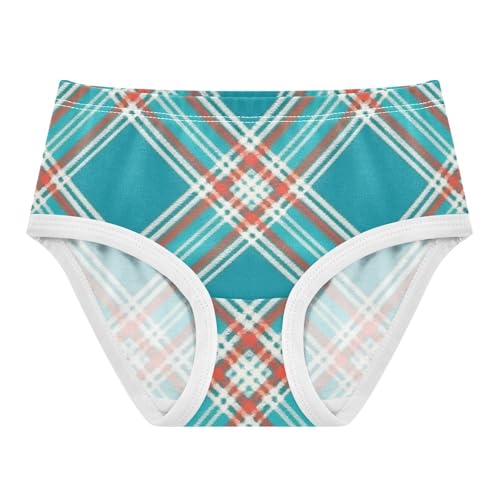 Girls' Underwear Soft Touch Organic Underwear for Kids Plaid Pattern in Sizes 2T,3T, 4T, 5T, 6Y and 8Y