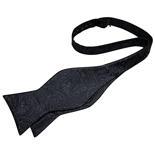 Image of DiBanGu Men Bow Tie Paisley Striped Self-Bow Tie for Men and Silk Woven Bowtie Pocket Square Cufflinks Wedding Party