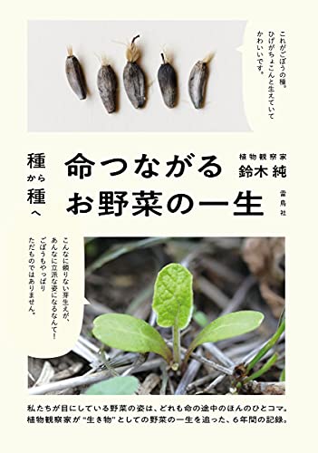 種から種へ 命つながるお野菜の一生 鈴木 純 鈴木 純 本 通販 Amazon 種から種へ 命つながるお野菜の一生 鈴木 純 鈴木 純 本 通販 Amazon