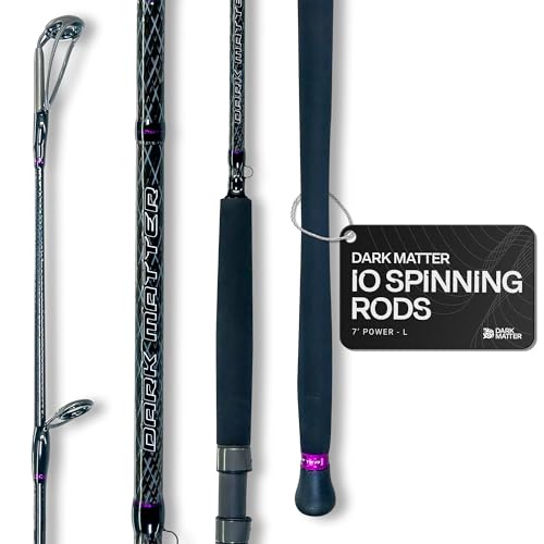 Dark Matter IO Spinning Rods - 7'0