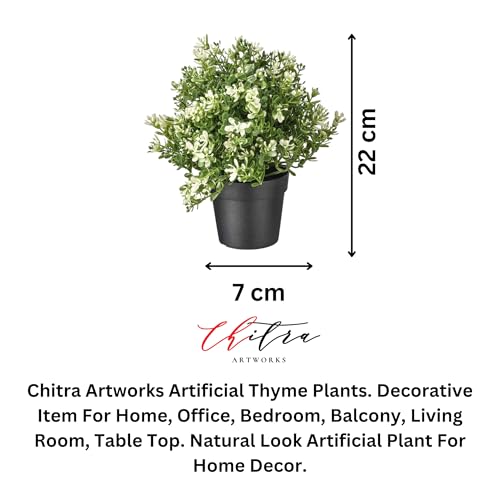 Image of Artificial Potted Plant Thyme | Realistic Polyethylene Plastic Greenery for Home, Office & Table Decor | Low Maintenance Faux Plant with Pot for Indoor Decoration & Gifting (Green)