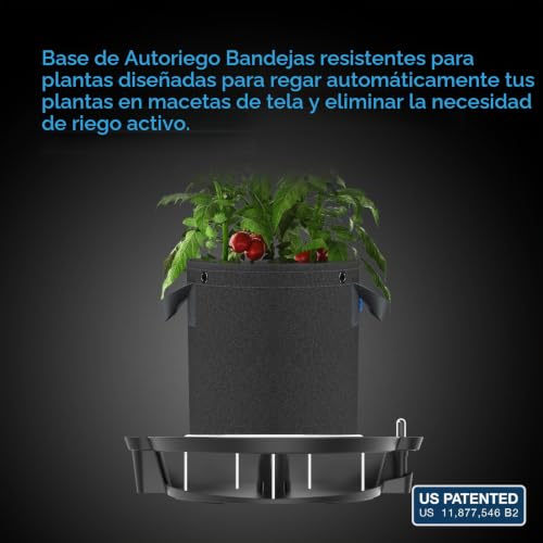 Tienda de riego 22 Imagen adicional