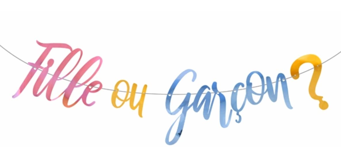 Guirlande Gender Reveal « Fille Ou Garçon ? » - 2,5 Mètres, Lettres En Carton Métallisé - Pour Fête De Révélation Du Sexe