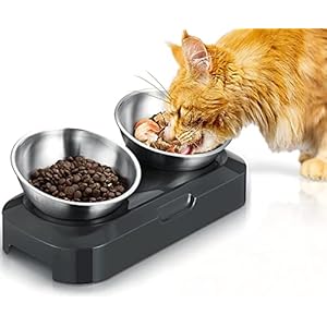 Raised Cat Bowl with Stainless Steel, Non-Slip Silicone Mat & Raised Cat Feeder with 15° & 0° Tilting Neck Protective Bowl for Pets, Cats Food and Water Feeding