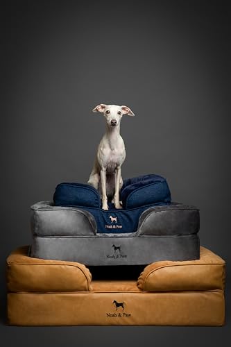 Image of NOAH & PAW XL Dog Bed, 45x35x11 Inch, Orthopedic Large Dog Beds, Eggshell Memory Foam Infused with Cooling Gel, Inner Cover, Water Resistant, Machine Washable (Velvet Sofa Collection)