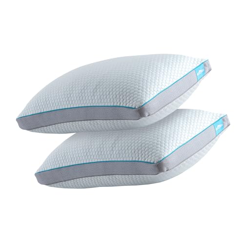 Premium Pillows 2 Pack Hotel Quality Hybrid Neck Pillow For Bed Stomach Back Side Sleepers Filled With Shredded Memory Foam Pillow And Down Alternative Hypoallergenic Soft Breathable Bamboo Fabric