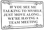 SNOWANG Decor 12'' x 8'' If You See Me Talking To Myself Funny Tin Signs For Home Wall, Backyard, Cafes, Bar, Man Cave, Office (Team Meeting)