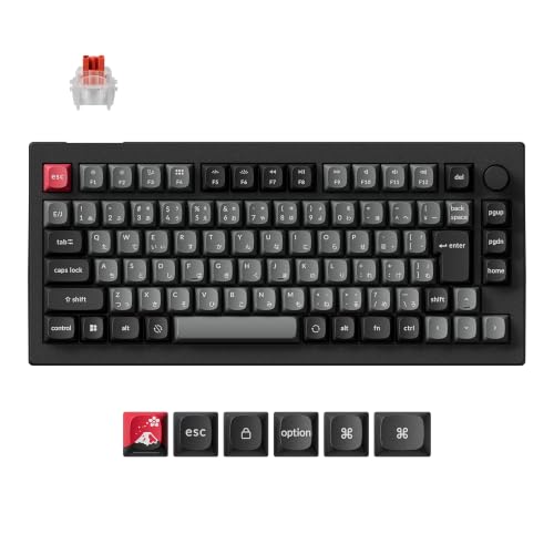 「国内正規品」Keychron C75 TMR 8K 磁気スイッチ有線ゲーミングキーボード JISレイアウト Windows対応 ブラック
