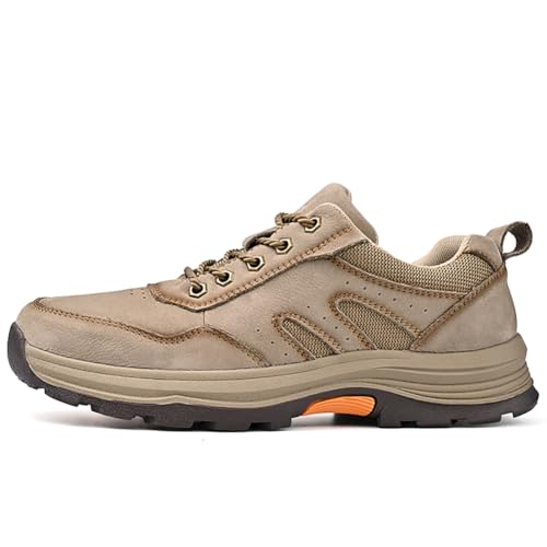 [AGTRhyKL] gbLOV[Y Y nCLOV[Y [Jbg JWA  oRC K Lv ʋC Lv AEghA C  傫TCY Xj[J[ ϖՐ ~ (J[L, l, 24.0 cm, l, 