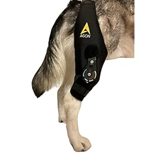 AGON Dog Knee Brace – Professional Knee Support Brace for Dogs with Adjustable Hinge Stabilizer – Premium Neoprene Hip Brace for Knee Support, Dog Recovery, and Joint Support (Right Leg, X-Large)