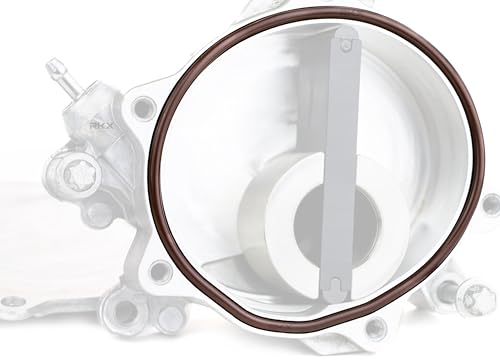 Kit de Reparación de Sello para Bomba de Vacío RKX 4.4L Compatible con BMW N63 S63 V8 5 6 7 X5 X6