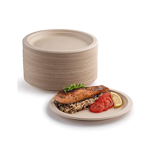 YIEN Lot de 100 assiettes en carton super rigides% et compostables respectueuses l'environnement très résistantes recyclables, parfaites pour les...