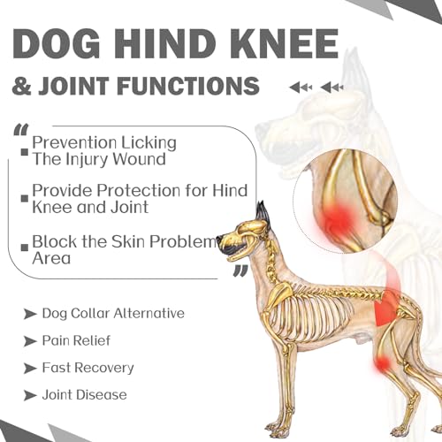 Image of ROZKITCH Back Leg Cover for Dogs Licking for Rear Right Left Leg, Pet Prevent Licking Wound Elbow Protector, Dog Wound Protector Garment Medium for Sprain ACL CCL Arthritis Joint Care Grey M