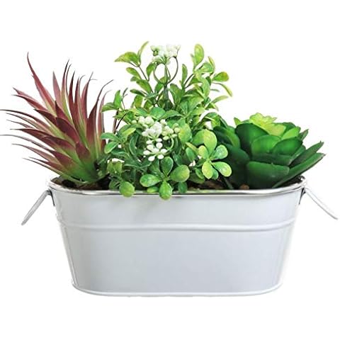 Artificial Succulent Plants in Metal Pot Cover