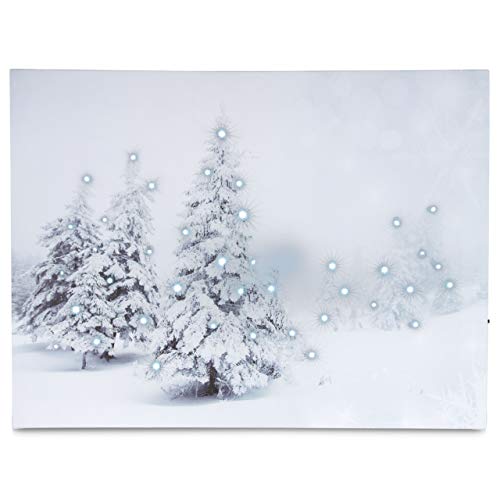 LED Wandbild Leinwandbild mit Beleuchtung Fotodruck Winterwald 30x40 cm Kunstdruck Leuchtbild Winter Weihnachten Schnee 40 Glasfaser-LED