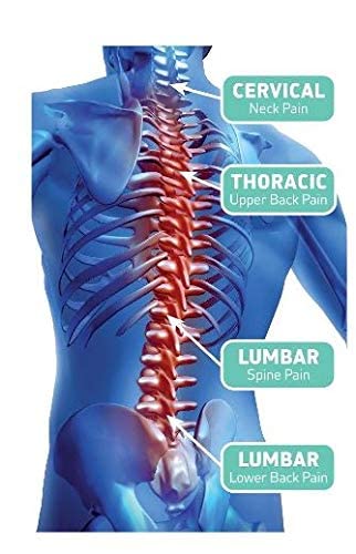 Posture Corrector for Men & Women | Adjustable Upper Back Brace | Provides Neck, Shoulders, & Back Pain Relief | Posture Trainer for Spinal Alignment | Premium Back Straightener | Magnetic or Standard