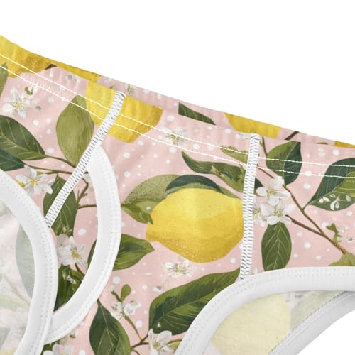 Wusikd Lemons Branches Boys' Underwear Cotton Flowers Boys Briefs Soft Toddler Underwear 2T4