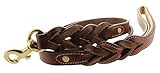 Kingston Leather Braided Dog Leash with Leather Padded Handle
