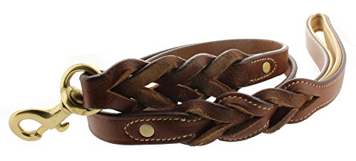 Kingston Leather Braided Dog Leash with Leather Padded Handle