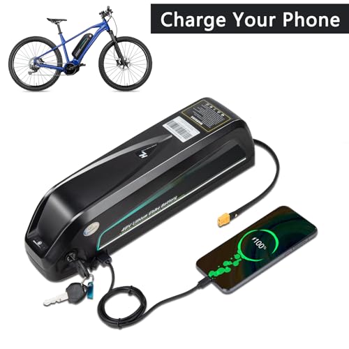 48V/36V Lithium ebike Battery 13Ah/20Ah, Built in 30ABMS, Including Charger, XT60 Connecting Cable, for 100W-1500W Electric Bicycles, E-Motorcycles and DIY Projects (36V13AH)
