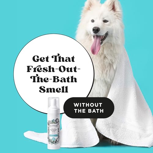 Poo-Pourri Rinse-Free Deodorizing Dry Shampoo for Dogs & Cats – Moisturizing Skin & Coat Soothing Formula - Plant Based Ingredients – Pineapple, Jasmine & Pear – No Rinse Foam Shampoo for Pet Odor - Image 3