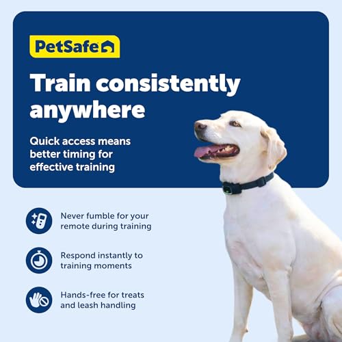 PetSafe Remote Trainer Belt Clip - image 4