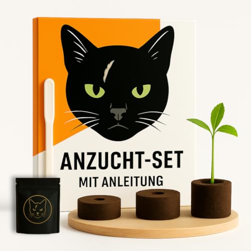 Produkt Bild Nr. 2