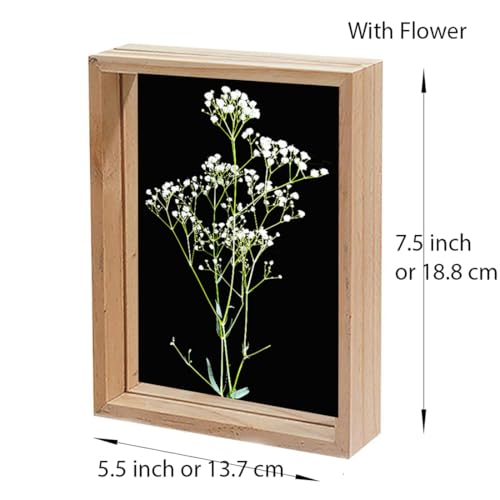 Image of Desi Rang Wooden Rectangular Frame For Wall Decor Table Top Hanging Any Green Or Dry Plant Leaf Picture Photo DIY Gift Home Decoration (Natural,Rec,7.7X5.5 Inch,With White Flower)