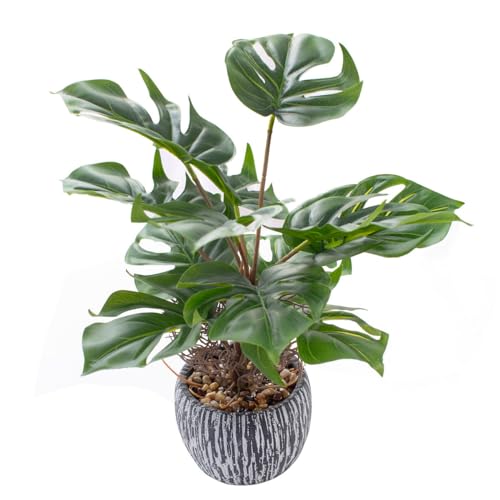 AlphaAcc 12' Faux Monstera Plant Tropical Greenery Small Fake Deliciosa Plants in Black Rustic Pot for Bathroom Kitchen Livingroom Nightstand Office Artificial Plants Decor