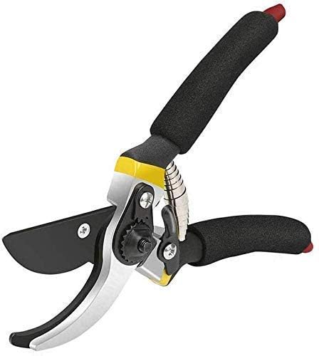 Piercell® Garden Shears Sharp Cutter Pruners Scissor, Grip-Handle Flower Cutter, Tree Trimmers Secateurs, Hand Pruner, Stainless Steel Blades (B0CV7NR1W1) Amazon Price History, Amazon Price Tracker
