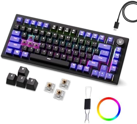 Kreo Hive 75 Mechanical Gaming Keyboard with Per-Key RGB Backlight, Hot-Swappable Switches, Anti-Ghosting Keys and Detachable USB-C Cable (Brown Switch, Black-Purple)