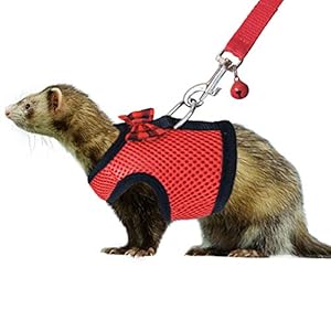 Rypet Small Animal Harness and Leash – Soft Mesh Small Pet Harness with Safe Bell, No Pull Comfort Padded Vest for Small Pet Red S