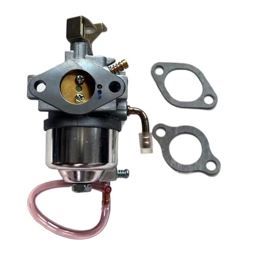 Carburateur 715520 pour stopper les fuites et démarrer votre pompe industrielle