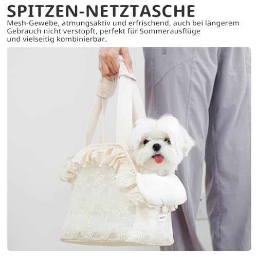 ONECUTE Hundetasche/Tragetasche für Hunde, Spitze, klein, für Hunde und Katzen und Kaninchen, Beige (24 * 15 * 23 cm)