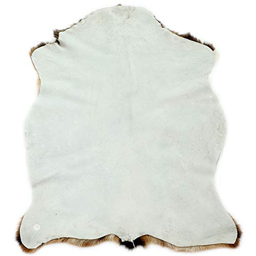 Red Deer Skin Rug, Deer Skin Rug, Deer Taxidermy Fireplace, Deer Skin Decoration, Reindeer Hidden Area Rug Animal Mat Carpet for Home, Office, Bedroom Taxidermy Hunting Collection 3.3x2ft