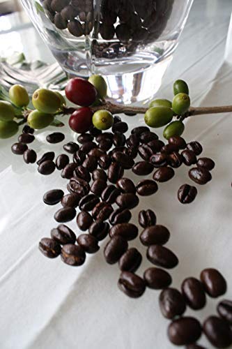 Hawaiian Queen Coffee 100% Kona en grano 8oz miniatura 6