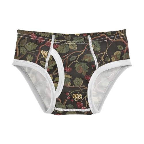 visesunny Boys Potty Training Underwear Plant Berry Motif Breathe Cotton Briefs Size 2T-8Y for Toddler