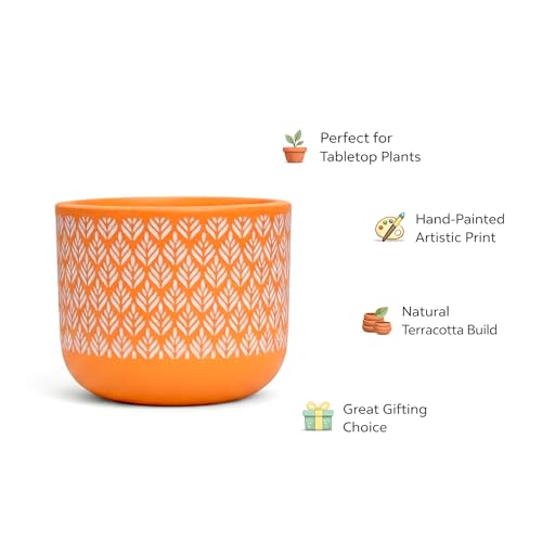 Image of Urban Plant Orange Charm Virasat Terracotta Pot with Drainage Hole (5 Inch) | Hand-Painted Decorative Clay Planter | Breathable Indoor Plant Pot for Healthy Growth