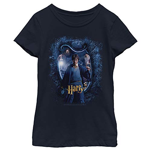 Harry Potter Kids' Chamber Harry and Sword T-Shirt