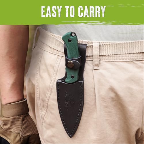Image of Mossy Oak 8.5 inch Full-tang Fixed Blade Knife with Sheath (G10 Handle-Green) | Stainless Steel Blade; Outdoor Knives for Survival, Camping, Hiking