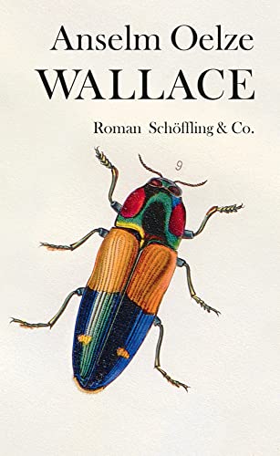 Wallace: Roman für 22,00 EUR bei Amazon Bild: Wallace: Roman für 22,00 EUR bei Amazon