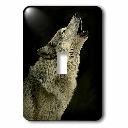Interrupteur à bascule bois loup 3dRose lsp_724_2 pour remplacer une plaque plastique jaunie