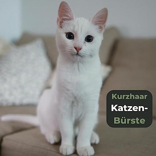 Grünschloss Hundebürste kurzhaar & Katzenbürste weiche Naturborsten - sanfte Tierbürste Holz mit Massage Effekt & Pfotenreiniger Hunde klein + Katzenbürste Pfote (Made in Germany) Bürste Katze Holz
