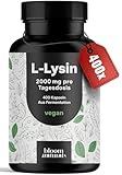 L-Lysin hochdosiert - 400 Kapseln mit 2000mg pures L Lysin pro Tagesportion. Aus pflanzlicher Fermentation - Kapseln - Vegan und produziert in Deutschland