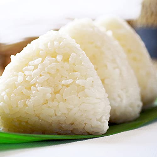 _ƒ2025NxYV  Y_ u_ߌāv kCY߂҂肩 () 5kg