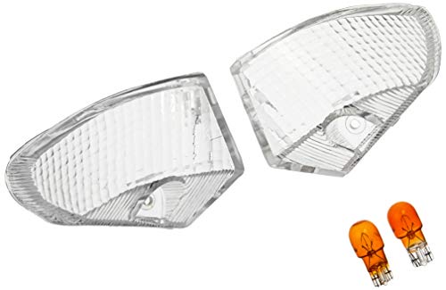 てつおさん専用 カワサキ「Ninja ZX-10R 40th Anniversary」 Ninjaブランドの節目を