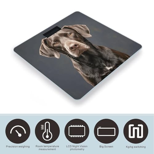 Báscula Digital Dalmatian para Baño con Vidrio Templado miniatura 3